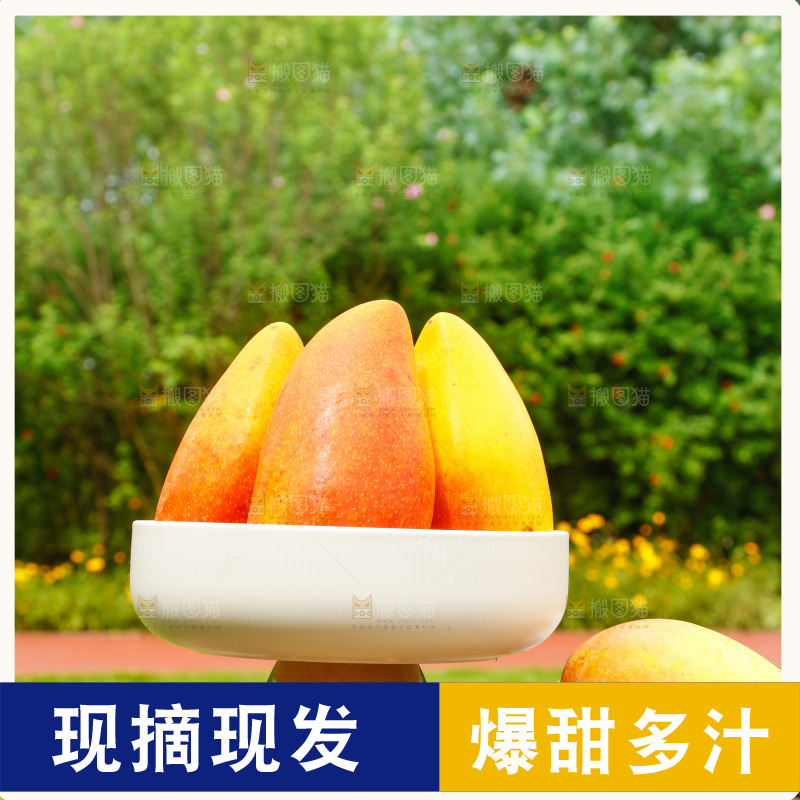 桌子摆放着贵妃芒