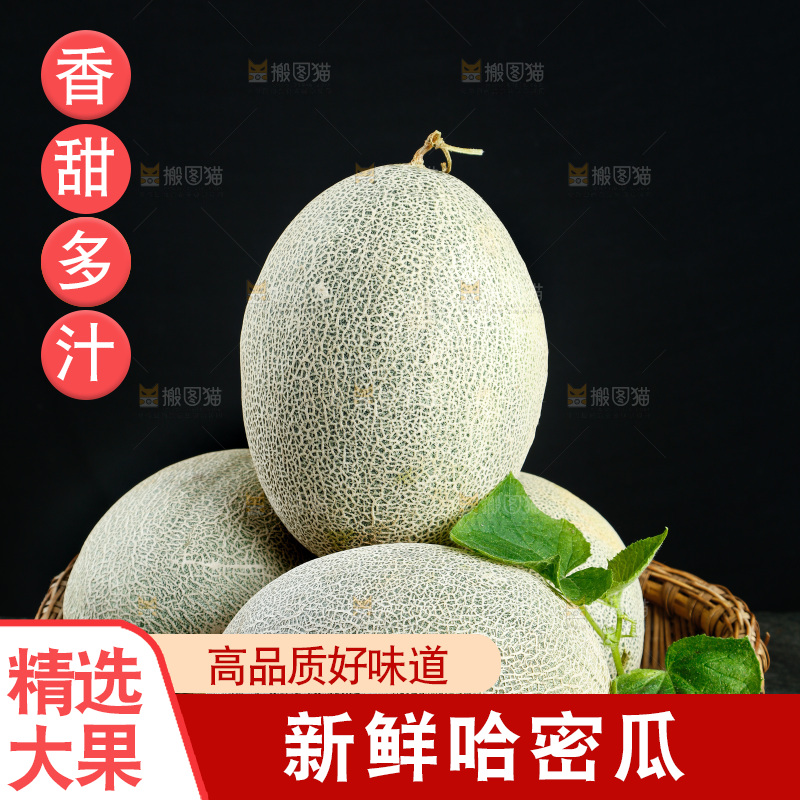 篮子里装着网纹瓜