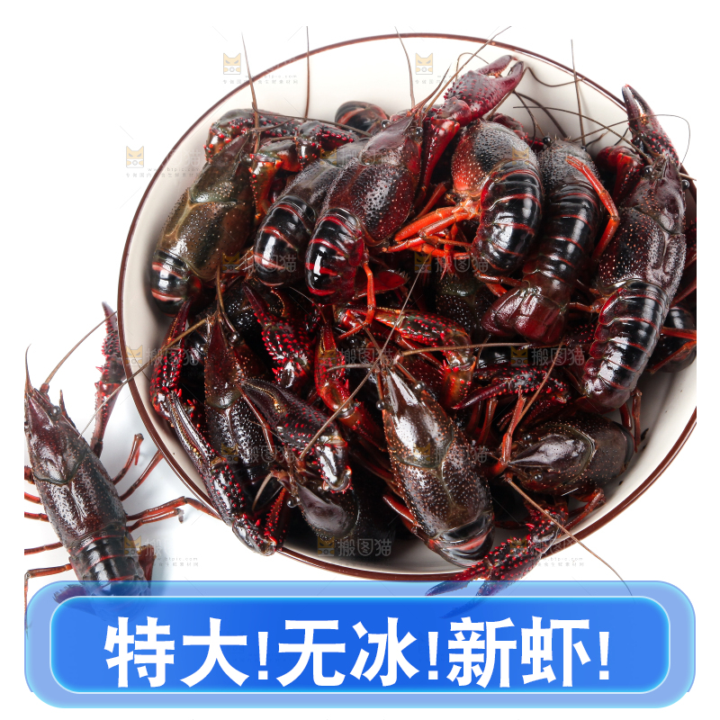 盆子里装着潜江小龙虾