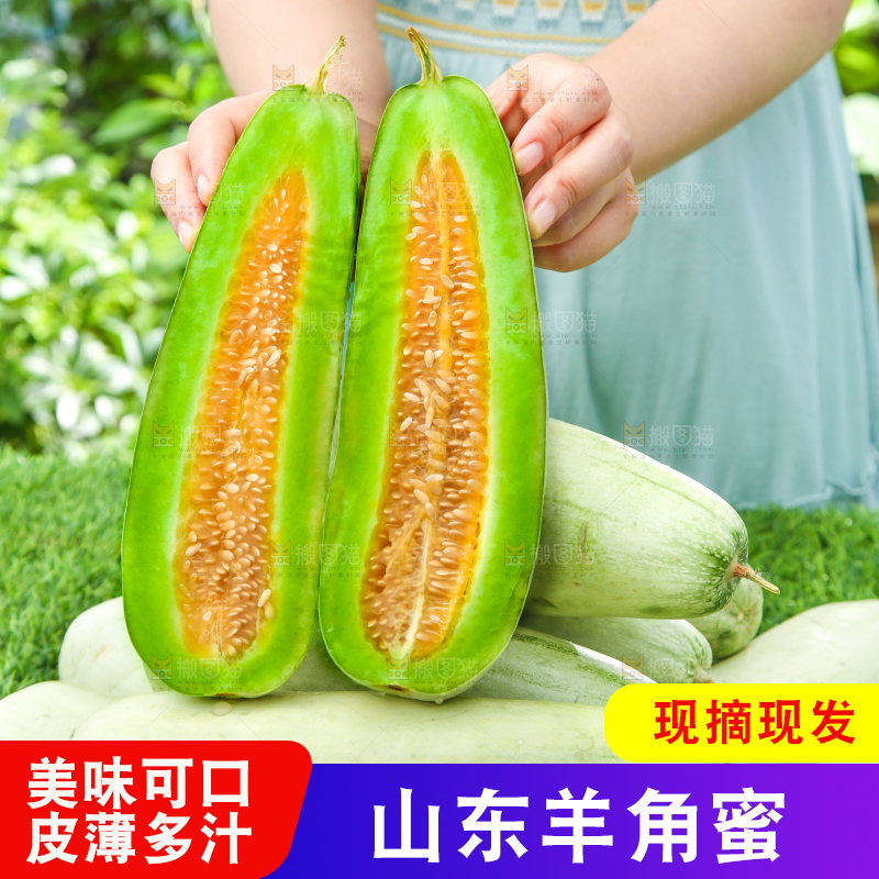 手里拿着脆甜蜜瓜