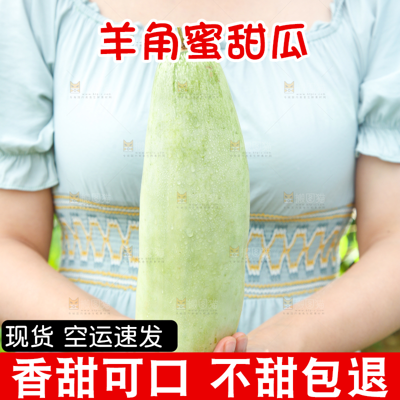 手里拿着脆甜蜜瓜