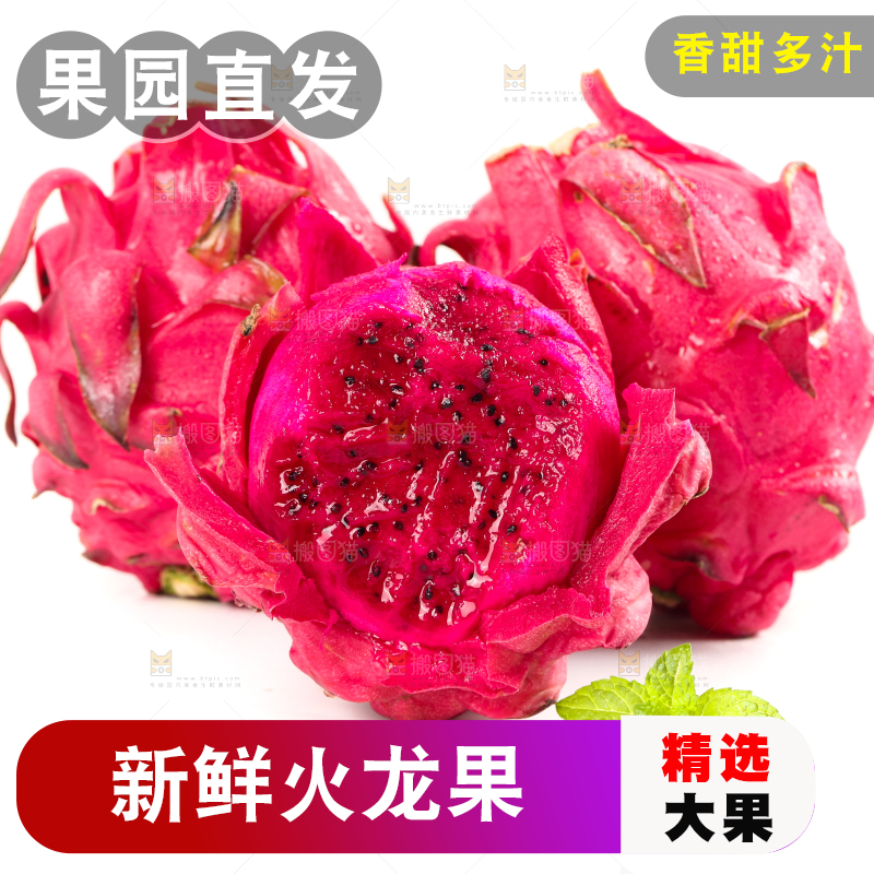白底上摆放着火龙果