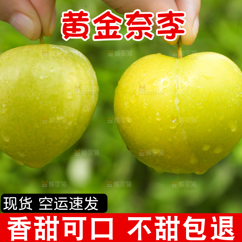 手里拿着蜂糖李子