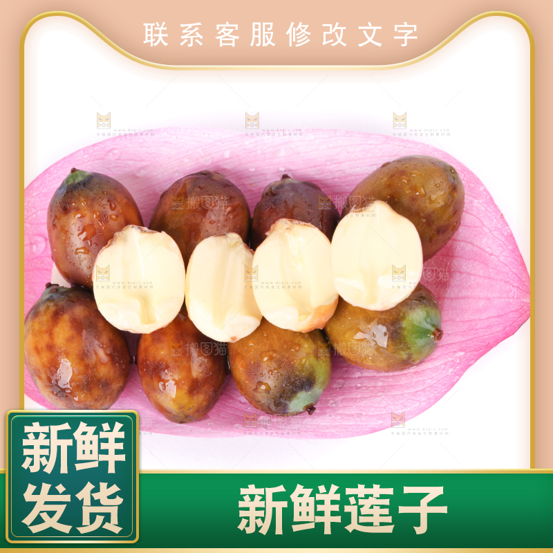 荷花上摆放着莲子
