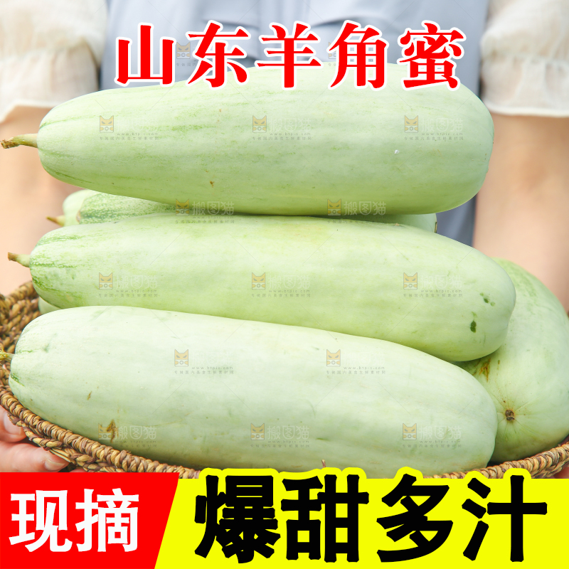 手里端着一篮山东羊角蜜甜瓜