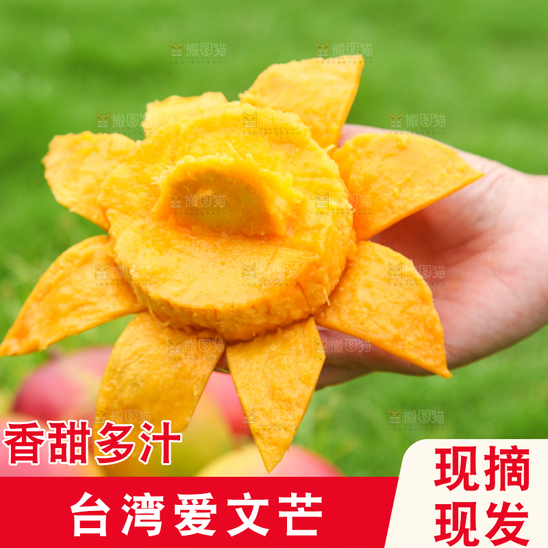 手里拿着苹果芒