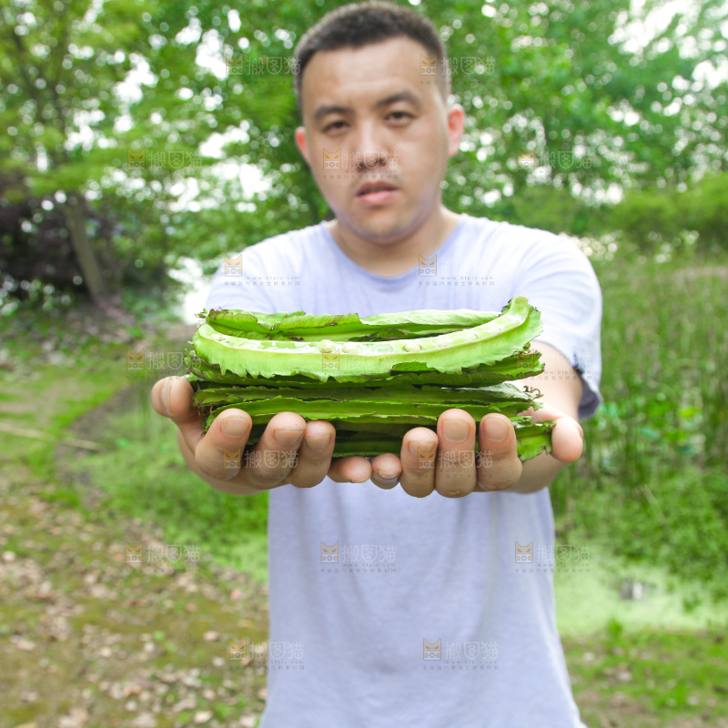 手里拿着四棱豆