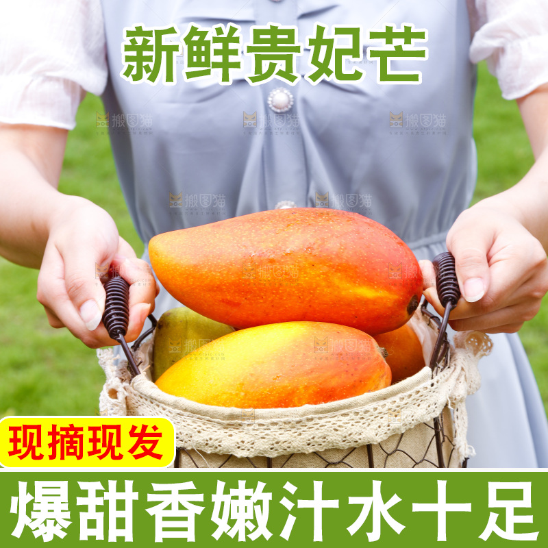 手里端着一篮海南贵妃芒