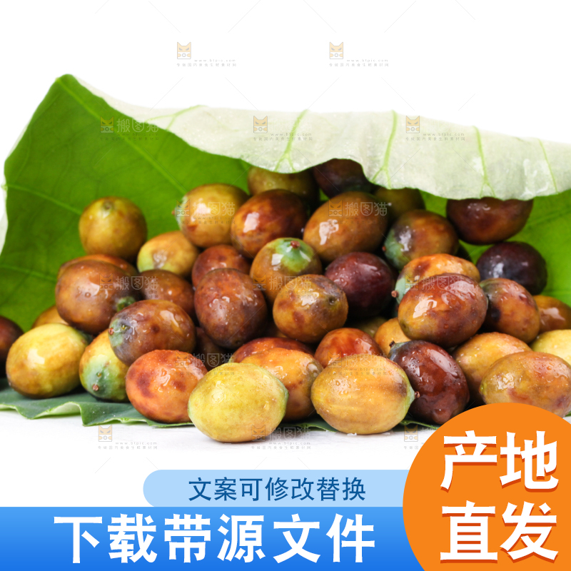荷叶上摆放着莲蓬子