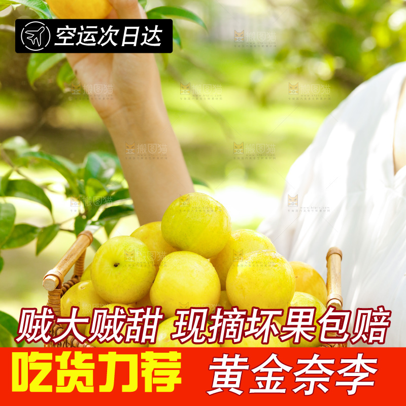 手里端着黄金奈李