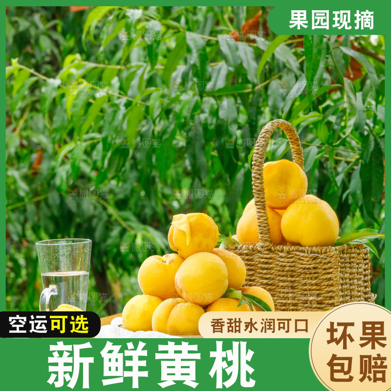 桌子上摆放着新鲜黄桃