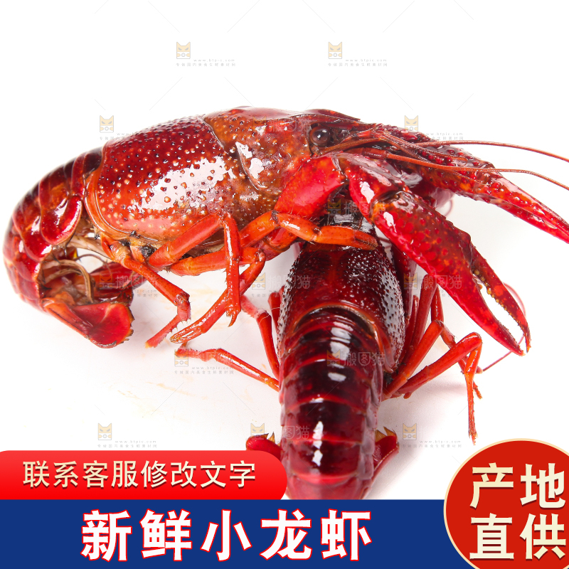 白底上摆放着小龙虾