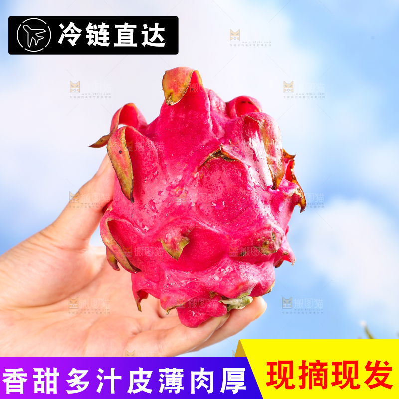 手里拿着火龙果