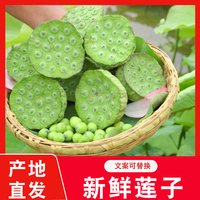篮子里装着新鲜莲蓬