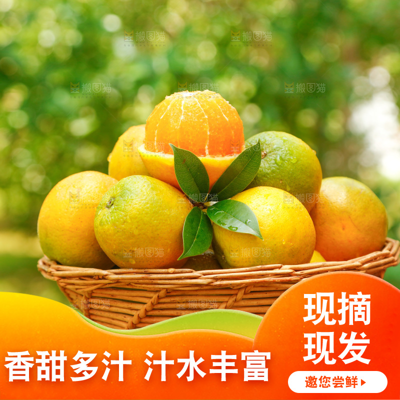 手里端着一篮秭归夏橙