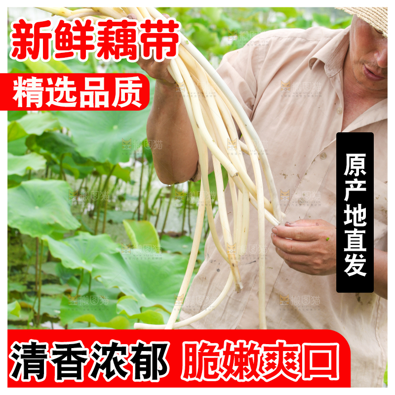 手里拿着藕尖