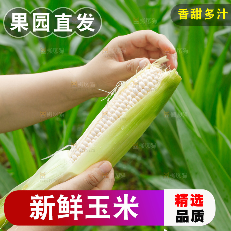 手里拿着牛奶水果玉米