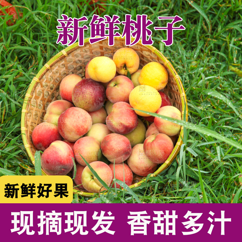 草地上放着一篮桃子