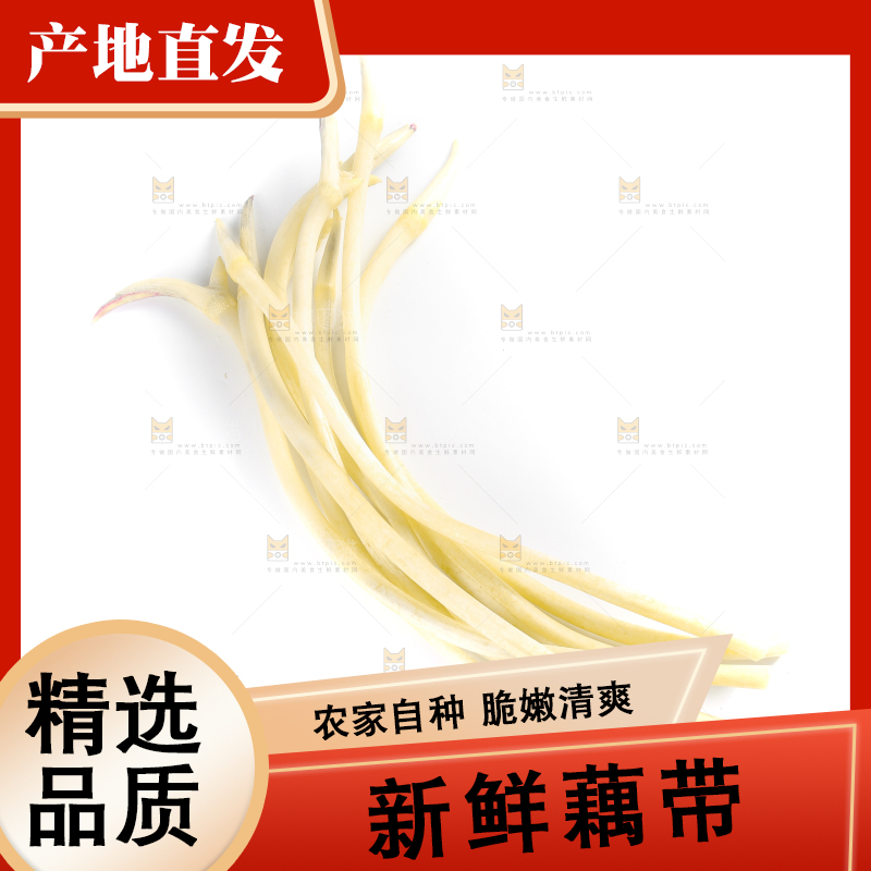 白底上摆放着新鲜藕带