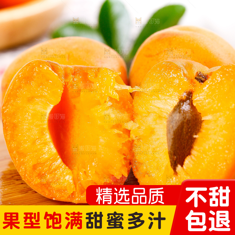 木底上放着陕西新鲜大黄杏