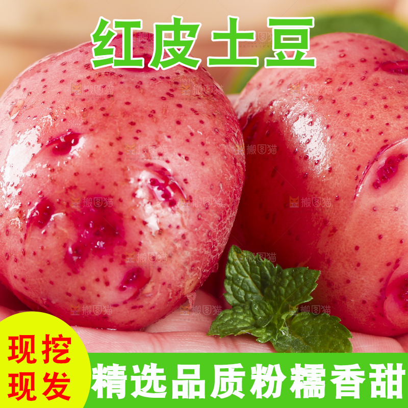 手里拿着红皮土豆