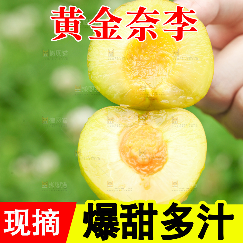 手里拿着黄金奈李