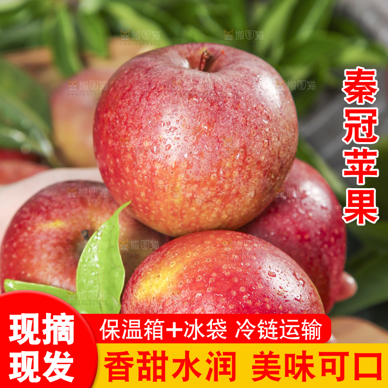 手里拿着陕西秦冠苹果