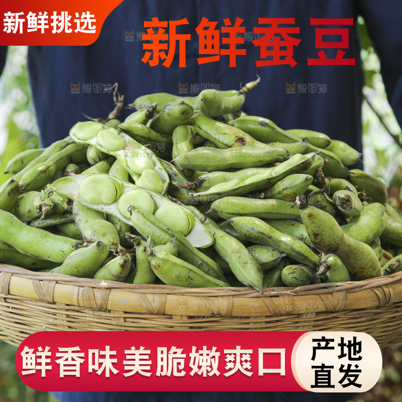 篮子里装着青胡豆