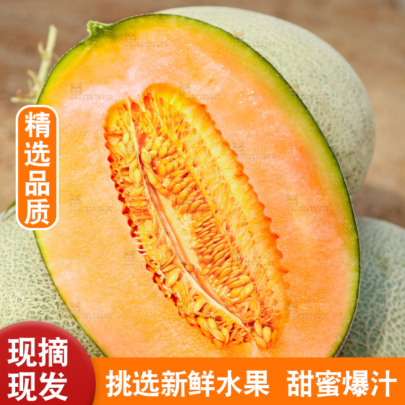 摆放着一堆的网纹瓜