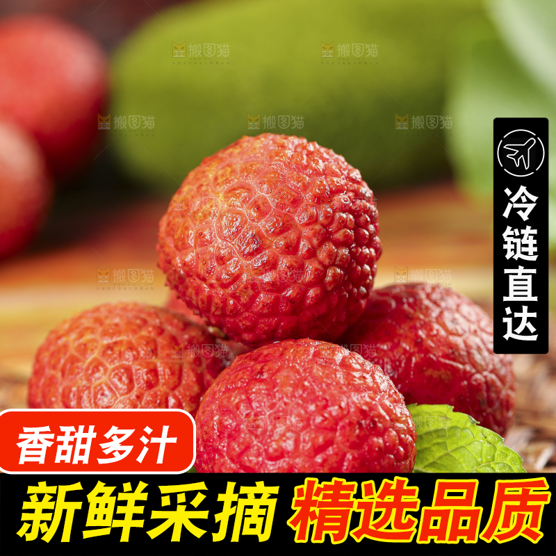 木底上摆放着海南荔枝