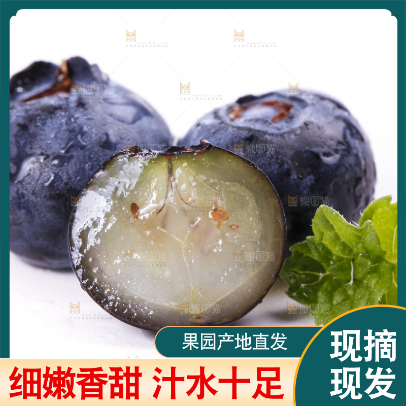 白底上摆放着蓝莓