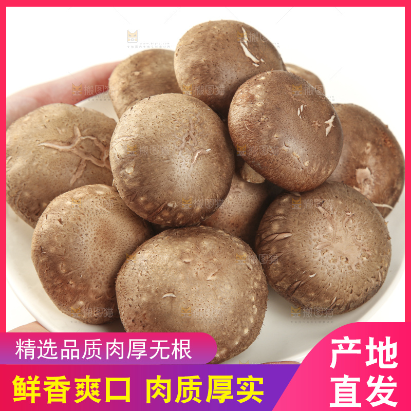 手里端着一盘香菇