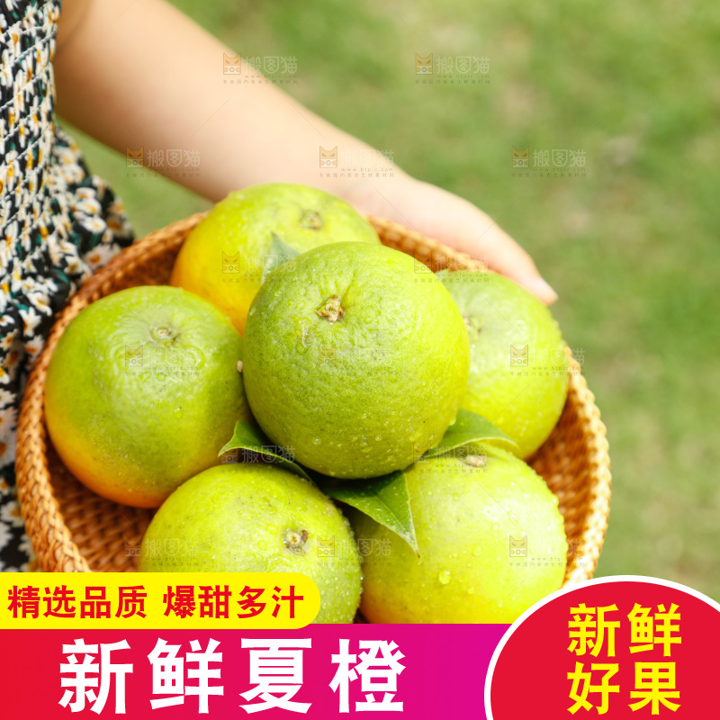 手里拿着一篮秭归夏橙