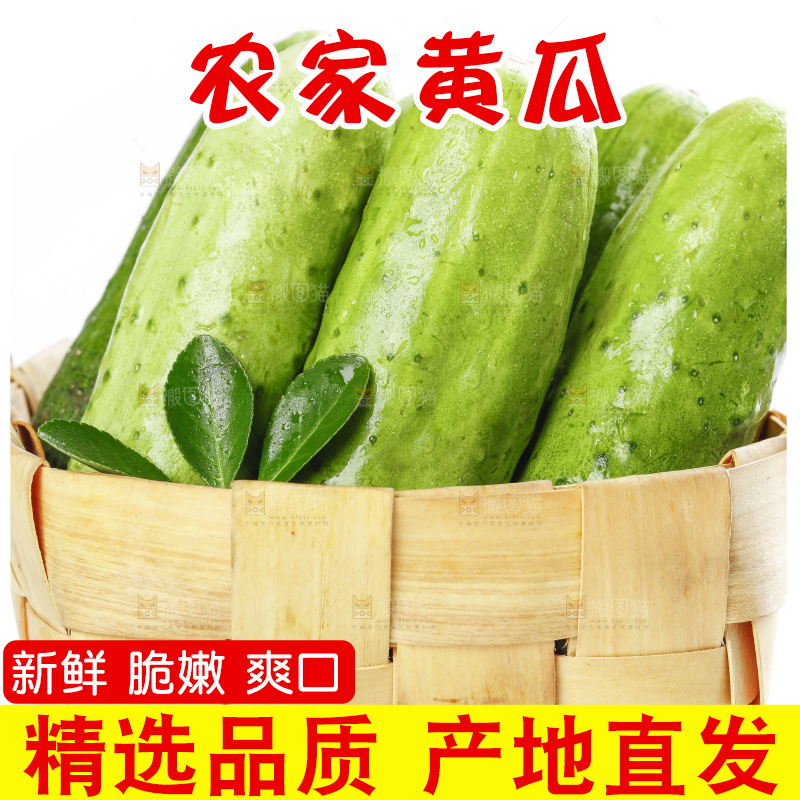篮子里装着青瓜