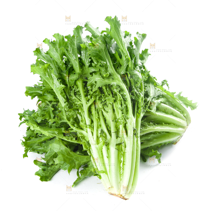 白底上摆放着苦菊