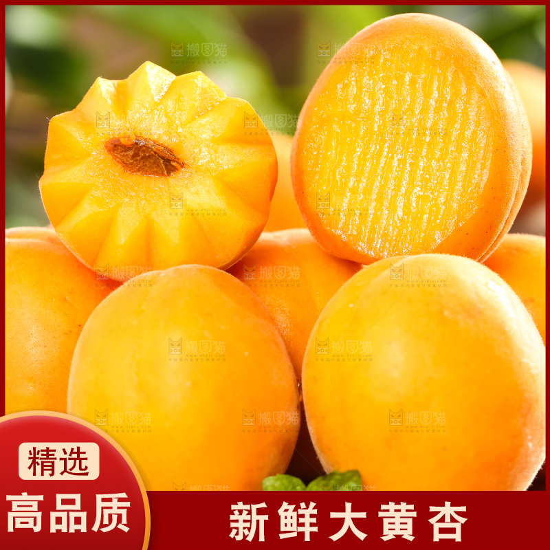 木底上摆放着杏子