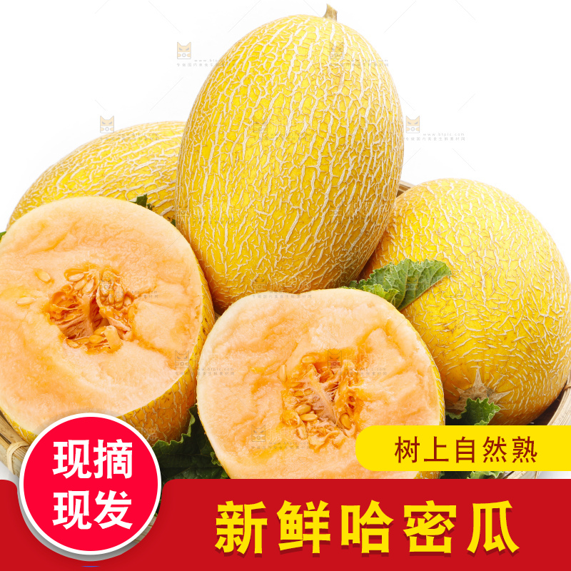 篮子里装着黄皮哈密瓜