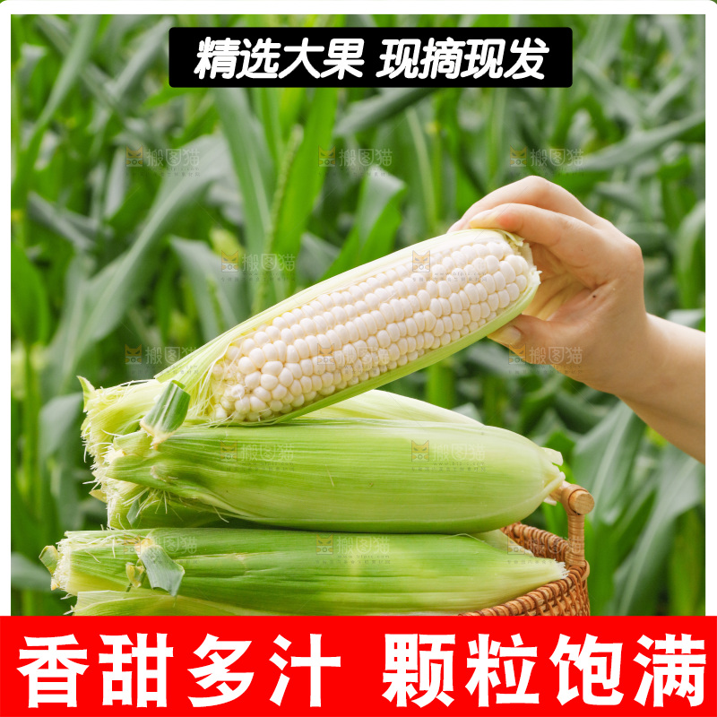 手里拿着一篮子玉米