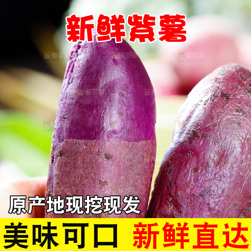 手里拿着紫薯