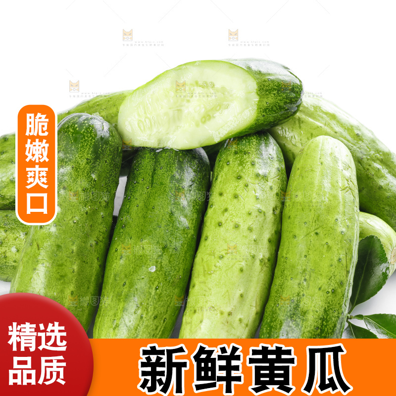 白底上放着刺黄瓜