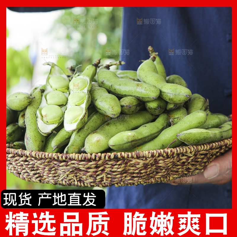 手里端着一篮生蚕豆