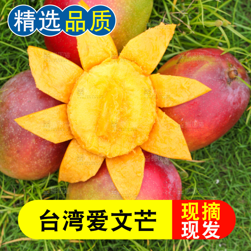草地上摆放着爱文芒