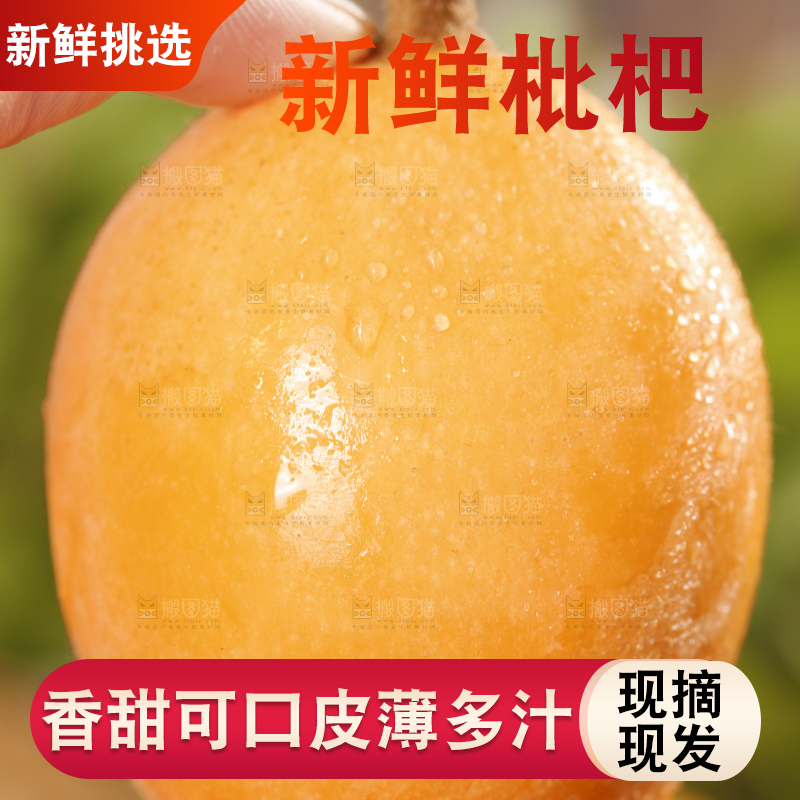 手里拿着枇杷果