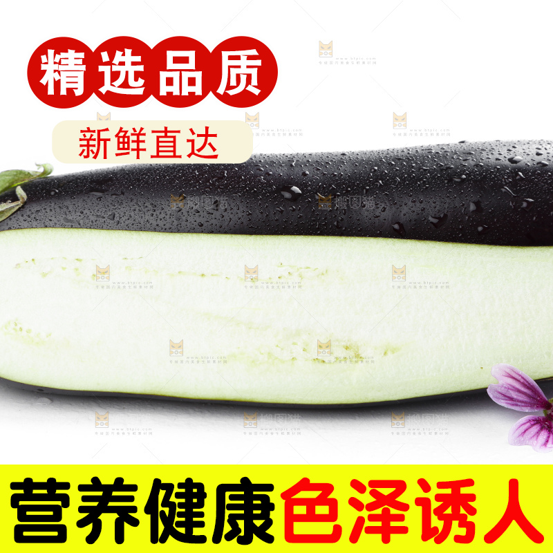 白底上摆放着紫茄子