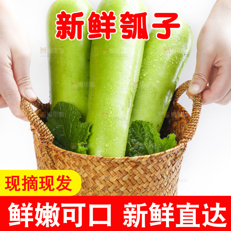 篮子里放着瓠子