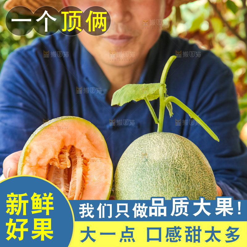 农民手里拿着哈密瓜