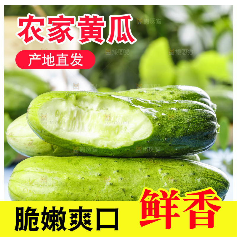 碟子里装着黄瓜