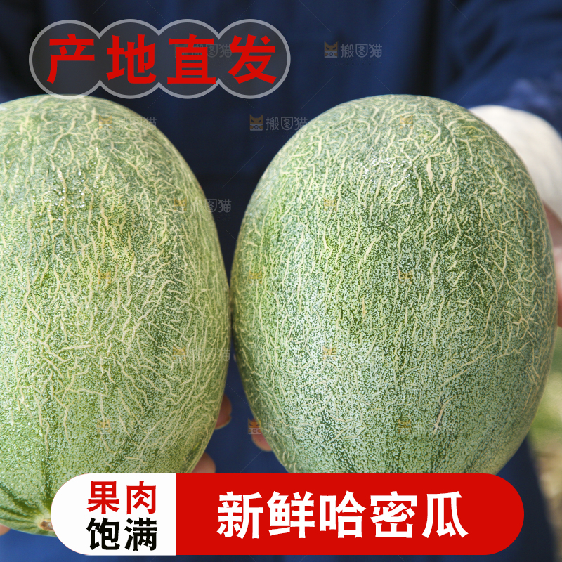 手里拿着网纹蜜瓜