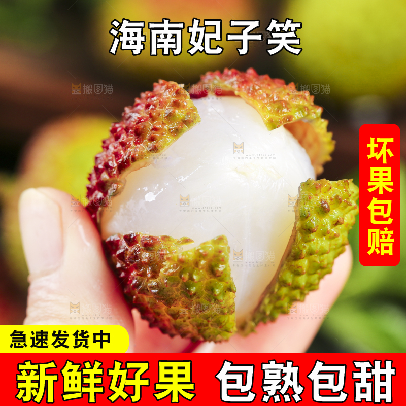 手里拿着海南妃子笑荔枝