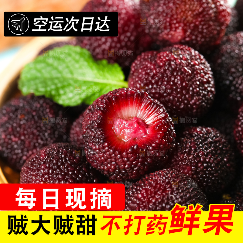 篮子里装着东魁杨梅